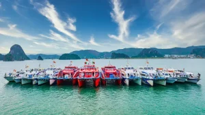 Trang Chủ - Vé Tàu Cô Tô, Quan Lạn, Minh Châu
