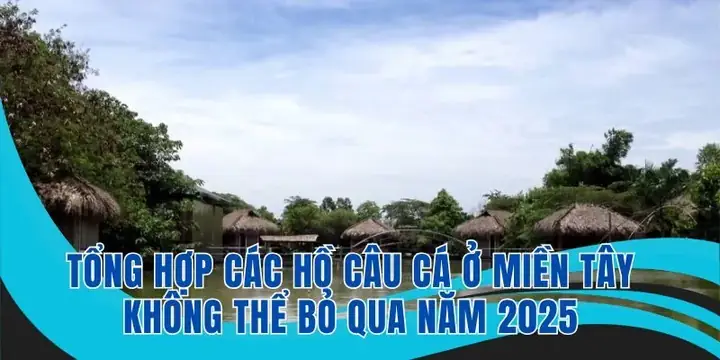 Tổng Hợp Các Hồ Câu Cá Ở Miền Tây Không Thể Bỏ Qua Năm 2025