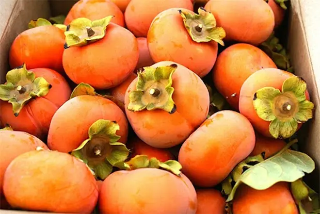 Tên Nghe Nửa Ruộng Nửa Rừng