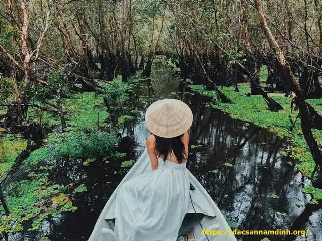 Rừng Tràm Trà Sư (an Giang): Hành Trình Xuyên Rừng Tràm Thẳng Tắp