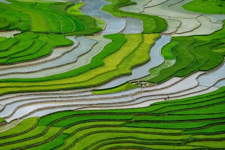 Ngỡ Ngàng Trước Vẻ Đẹp Mê Hồn Của Ruộng Bậc Thang