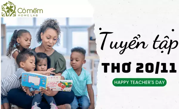 25+ Bài Thơ 20/11 Ngắn Tri Ân Thầy Cô, Viết Báo Tường #số1
