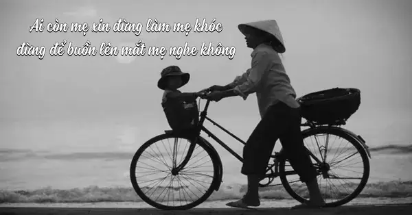 70 Bài Thơ Về Cha Mẹ, Chùm Thơ Nói Về Công Ơn Bố Mẹ Hay Nhất