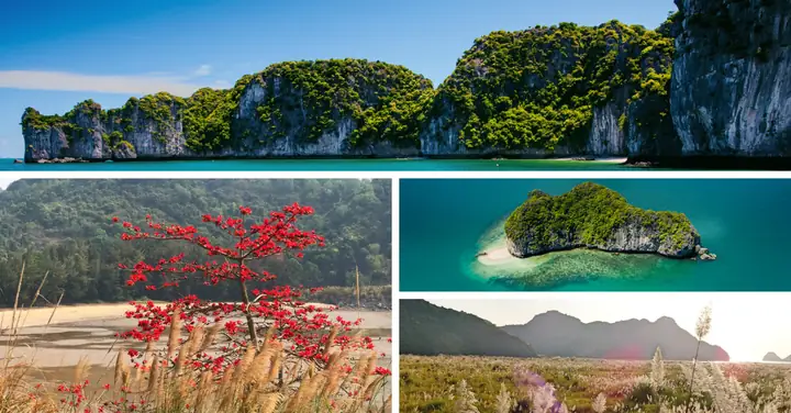 Nên Đi Cát Bà Vào Thời Điểm Nào
