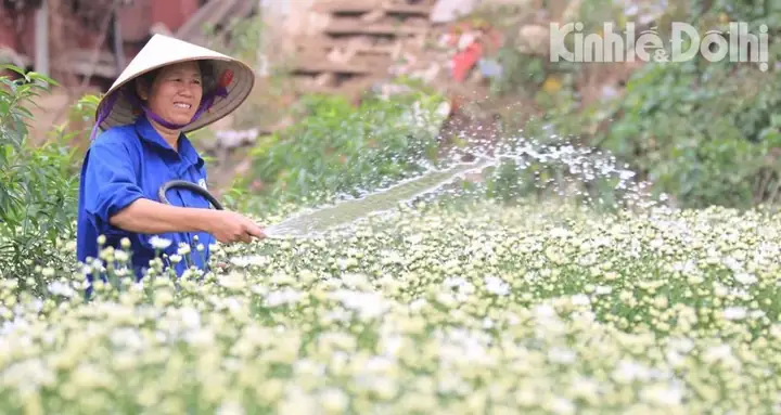 Dự Báo Thời Tiết Ngày 2/11/2022: Hà Nội Trời Lạnh Về Đêm Và Sáng ...