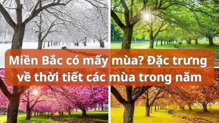 Miền Bắc Có Mấy Mùa? Đặc Trưng Mùa Xuân, Hạ, Thu, Đông