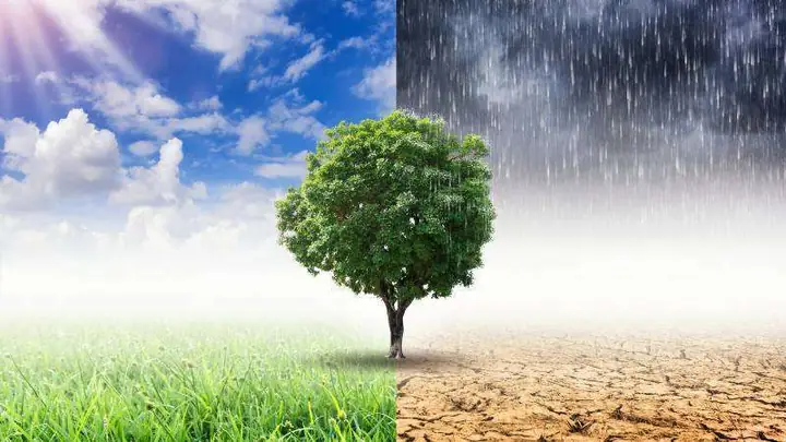 Phân Biệt Thời Tiết Và Khí Hậu: Giống Và Khác Nhau Thế Nào? Phân Biệt Thời Tiết Và Khí Hậu: Giống Và Khác Nhau Thế Nào?
