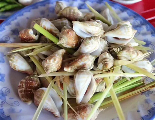 Các Món Ăn Gợi Ý Cho Thực Đơn