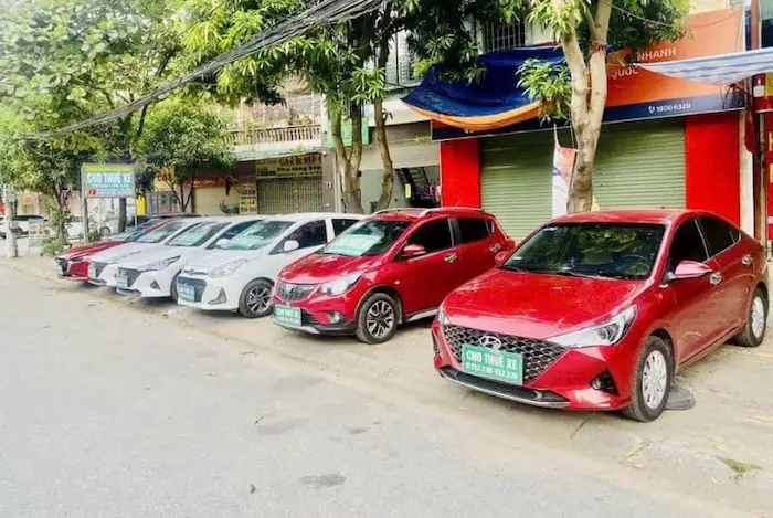 Công Ty Tnhh Du Lịch & Tm Bảo Huy