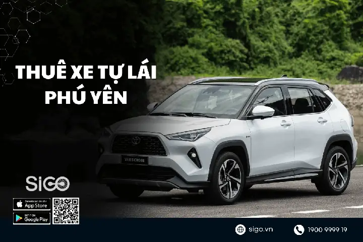 #4 Đơn Vị Cho Thuê Xe Tự Lái Phú Yên Chuyên Nghiệp, Giá Tốt