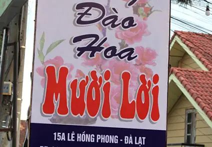 Thung Lũng Đào Hoa Mười Lời Thung Lũng Đào Hoa Mười Lời