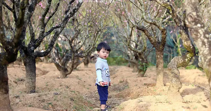 Chuyện Đà Lạt Không Phải Ai Cũng Biết - Kỳ 6: Thung Lũng Hoa Đào ... Chuyện Đà Lạt Không Phải Ai Cũng Biết - Kỳ 6: Thung Lũng Hoa Đào ...