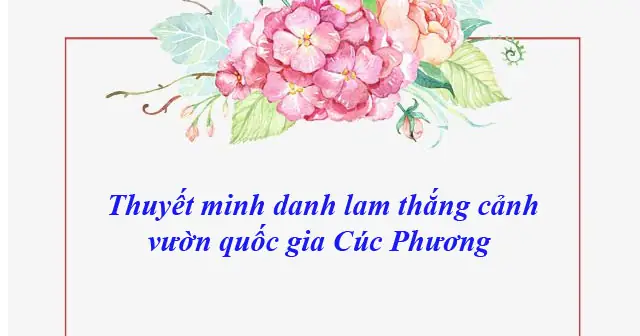 Thuyết Minh Danh Lam Thắng Cảnh Vườn Quốc Gia Cúc Phương - Bài ...
