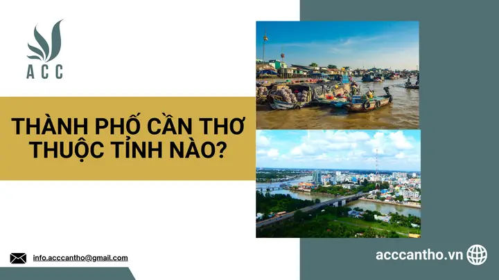 Thành Phố Cần Thơ Thuộc Tỉnh Nào? [góc Giải Đáp]