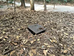 Crawl Through The Cu Chi Tunnels