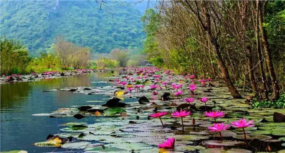 Tour Trong Nước Khởi Hành Hàng Ngày Từ Hà Nội