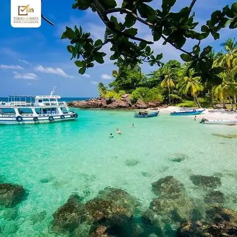 Đơn Vị Nào Tổ Chức Tour Du Lịch Cho Người Cao Tuổi Uy Tín, Giá Tốt?