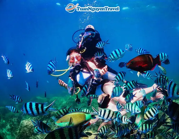 Ngày 2: Du Ngoạn Vịnh Nha Trang(ăn Sáng, Trưa, Tối) Ngày 2: Du Ngoạn Vịnh Nha Trang(ăn Sáng, Trưa, Tối)