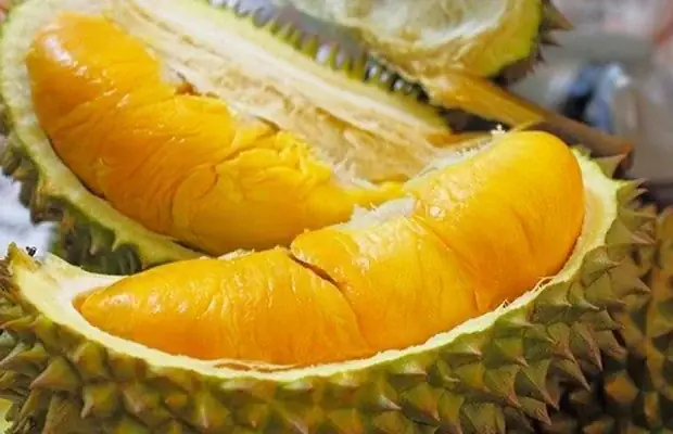 Sầu Riêng