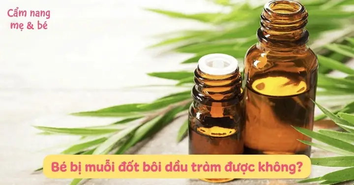 Bé Bị Muỗi Đốt Bôi Dầu Tràm Được Không? Cách Sử Dụng An Toàn ...