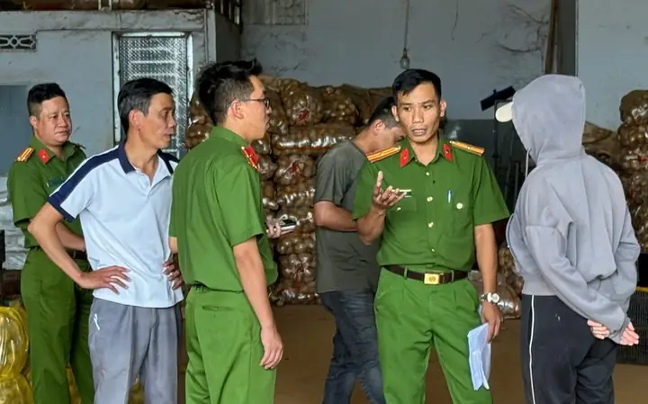 Trung Tâm Làm Giả Khoai Tây Đà Lạt Nằm Ở Đâu? - Ảnh 2.