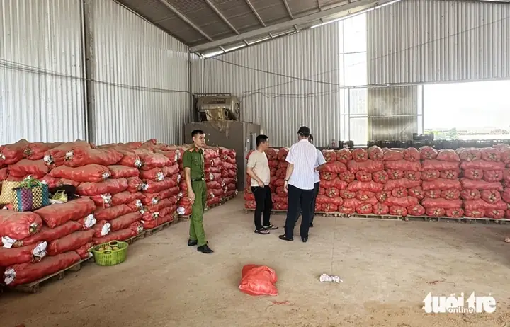 Cấm Kinh Doanh Nông Sản, Khoai Tây Có Xuất Xứ Không Rõ Ràng
