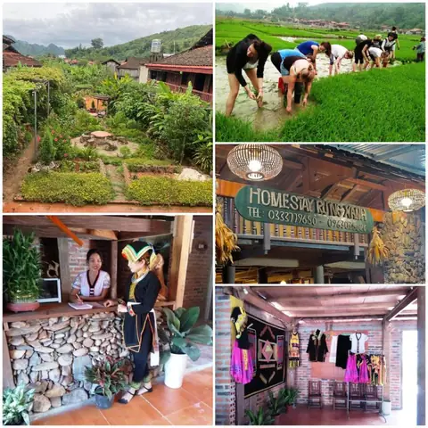 Homestay Rừng Xanh