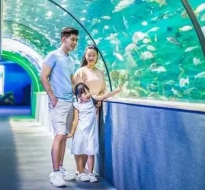 Trung Tâm Hà Nội: Kinh Nghiệm Chơi Gì Vui? Ăn Gì Ngon?