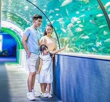 Trung Tâm Hà Nội: Kinh Nghiệm Chơi Gì Vui? Ăn Gì Ngon?