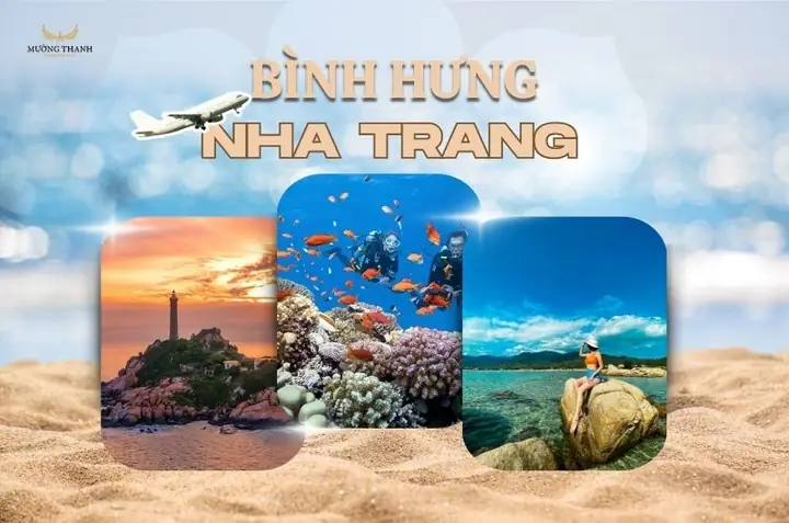 Tiết Lộ Kinh Nghiệm Ăn Chơi Như Thổ Địa Tại Đảo Bình Hưng Nha Trang