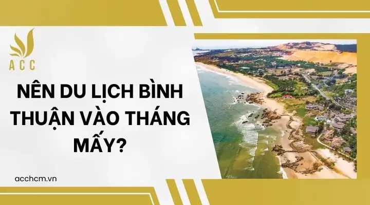 Nên Du Lịch Bình Thuận Vào Tháng Mấy?
