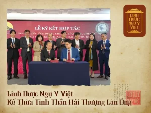 Linh Dược Ngự Y Việt – Kế Thừa Tinh Thần Hải Thượng Lãn Ông