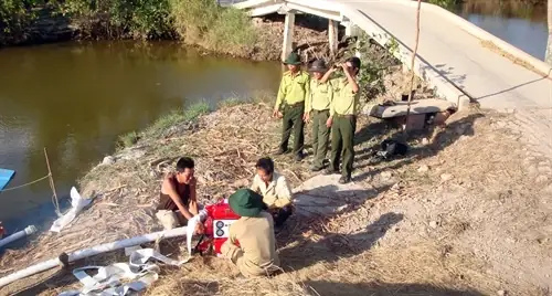 Nước Mặn Đã Bao Vây Rừng U Minh | Báo Ảnh Dân Tộc Và Miền Núi