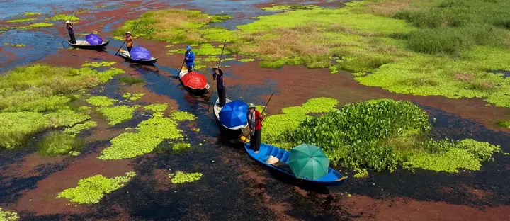 Kinh Nghiệm Du Lịch U Minh Thượng - Vẻ Đẹp Nguyên Sơ Vùng Đồng ...