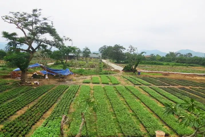 Văn Miếu Quốc Tử Giám Huế – Trường Đại Học Quốc Gia Đầu Tiên Dưới Thời Nhà Nguyễn