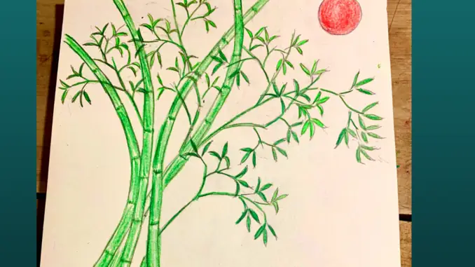 Vẽ Cây Tre