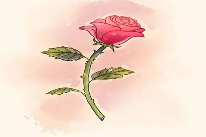 Cách Vẽ Một Bông Hồng Nghiêng