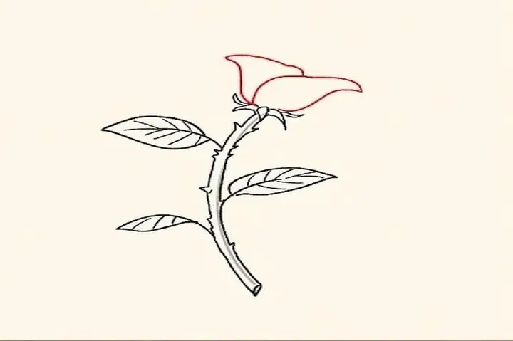 Cách Vẽ Một Bông Hồng Nghiêng