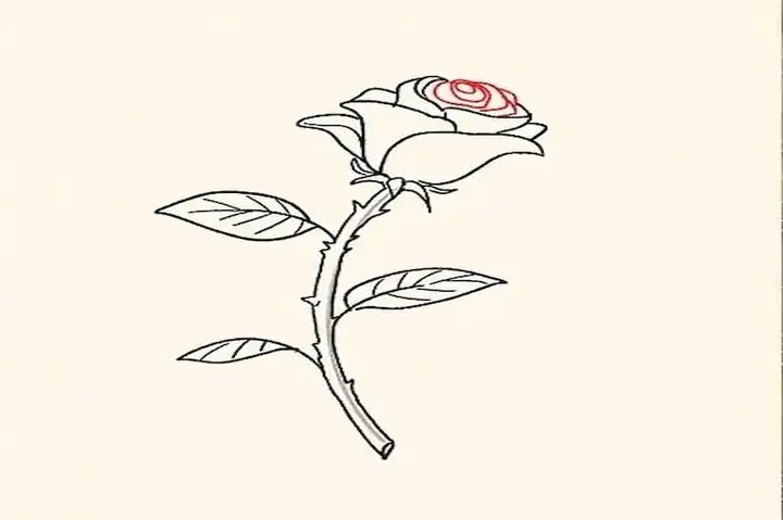 Cách Vẽ Một Bông Hồng Nghiêng
