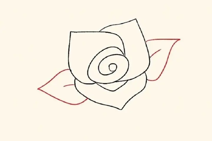 Cách Vẽ Hoa Hồng Xoắn Ốc