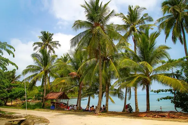Hướng Dẫn Đặt Vé Tàu Đi Đảo Hải Tặc (kiên Giang) Trực Tuyến