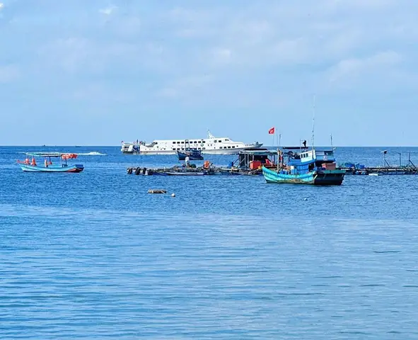 [2026] Vé Tàu Superdong Đi Hòn Sơn (lại Sơn) Và Đặt Vé Online