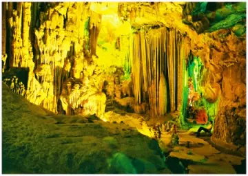 Dựa Vào Văn Bản Động Phong Nha, Em Hãy Tưởng Tượng Và Miêu Tả ...
