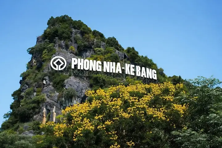 Vườn Quốc Gia Phong Nha - Kẻ Bàng: Kỳ Quan Thiên Nhiên Việt Nam