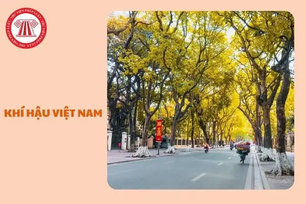Việt Nam Thuộc Kiểu Khí Hậu Nào? Khí Hậu Miền Nam Trung Bộ Và ...