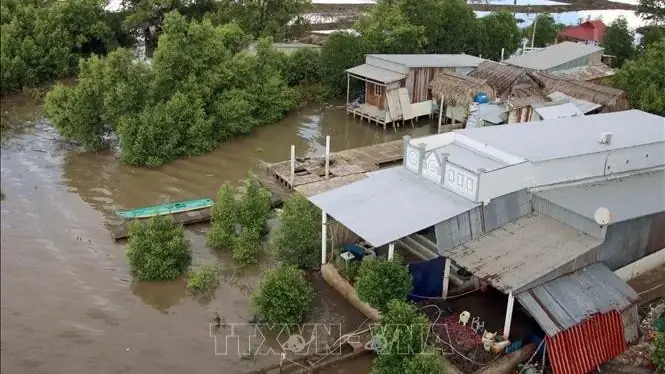 [hỏi Đáp] Việt Nam Thuộc Nhóm Nào Trong Phân Loại Trách Nhiệm Khí ...