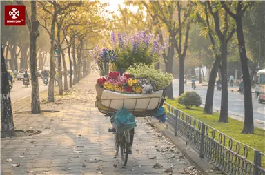 Những Điều Khiến Mùa Thu Hà Nội Trở Nên Lãng Mạn