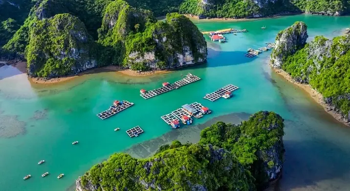 Vịnh Bái Tử Long - Địa Điểm Hấp Dẫn Du Khách Tứ Phương