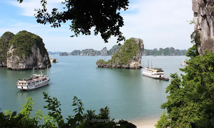 Vịnh Hạ Long - Trang Thông Tin Du Lịch Hạ Long