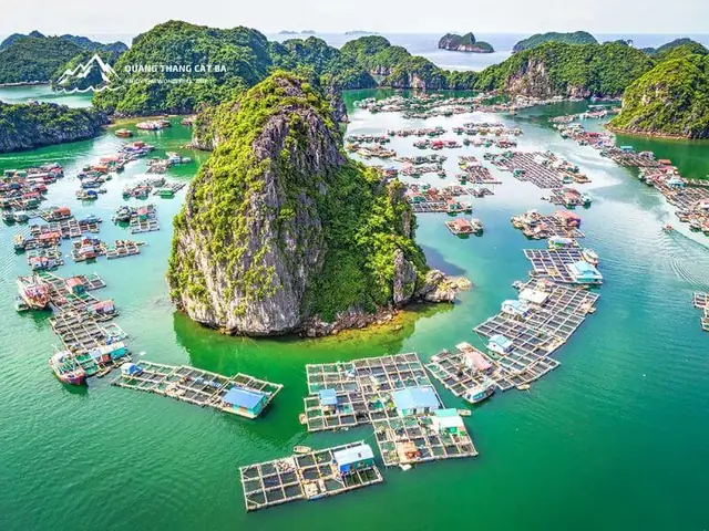 Khám Phá Làng Chài Truyền Thống